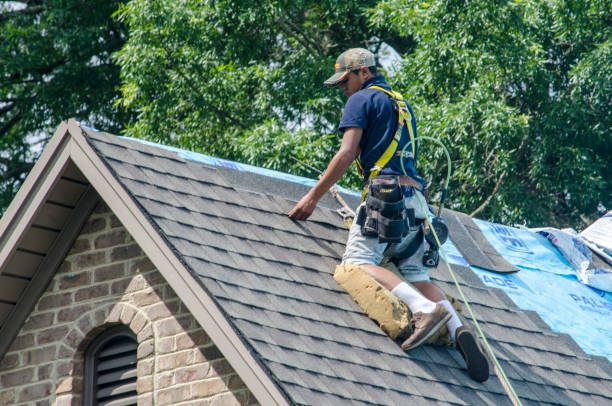 Best Gutter Installation and Roofing  in Ballwin, MO
